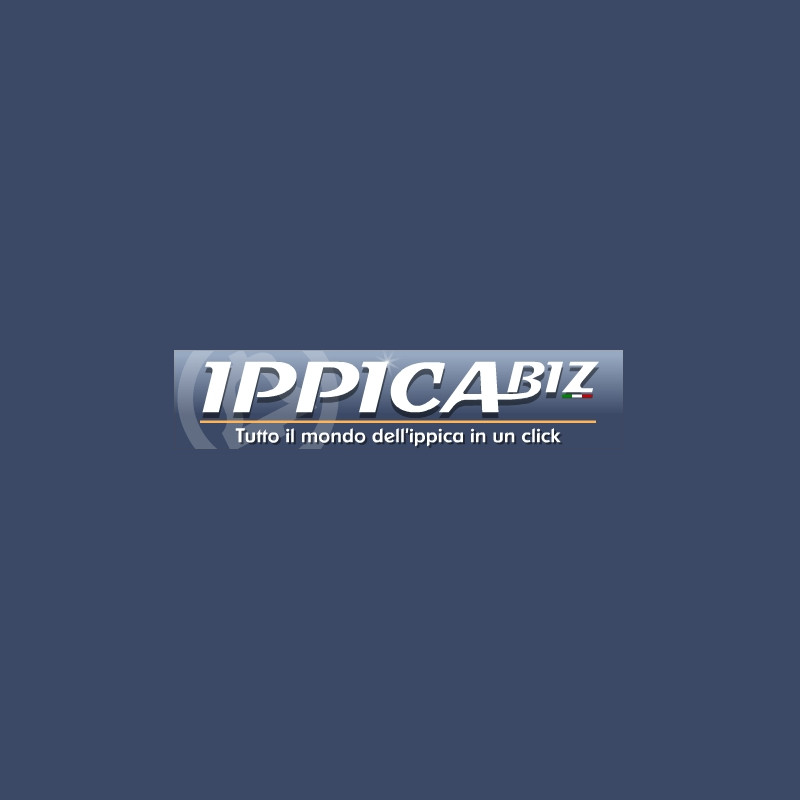 Ippica.biz